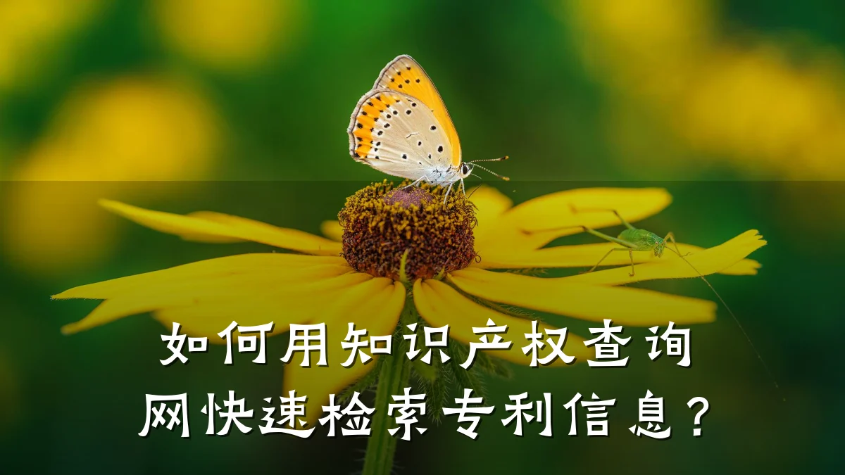如何用知识产权查询网快速检索专利信息?
