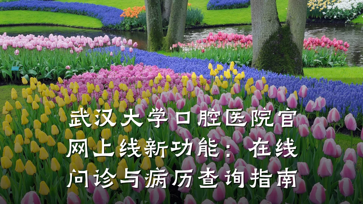 武汉大学口腔医院官网上线新功能:在线问诊与病历查询指南