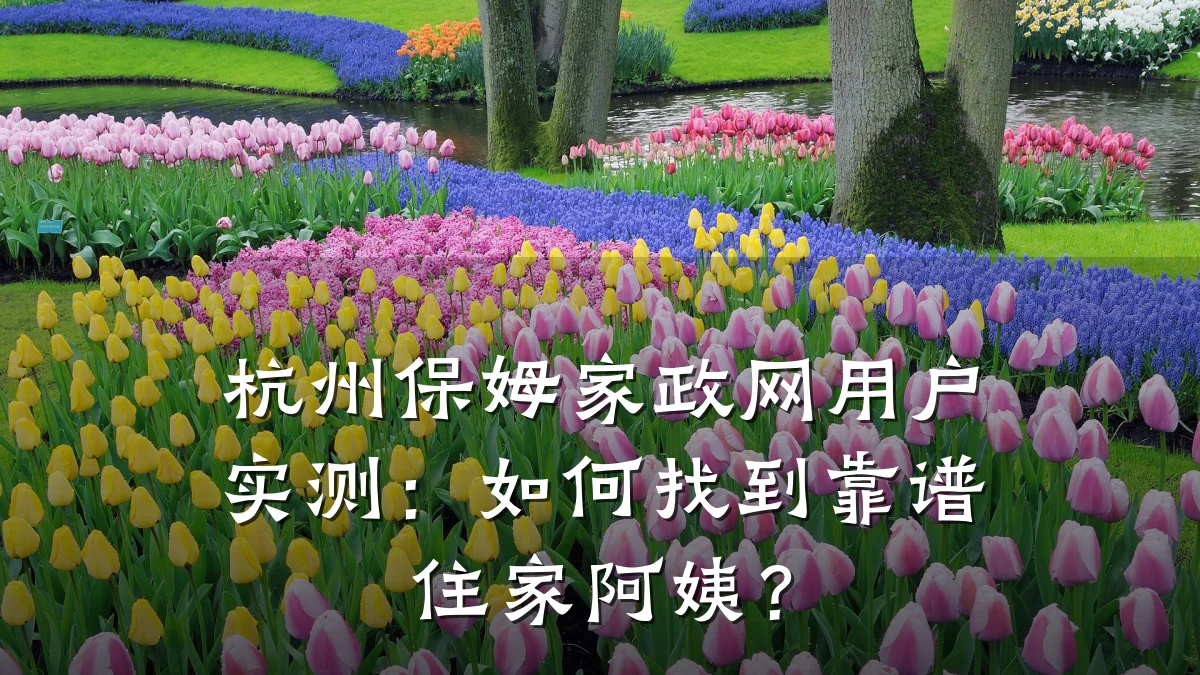 杭州保姆家政网用户实测：如何找到靠谱住家阿姨？