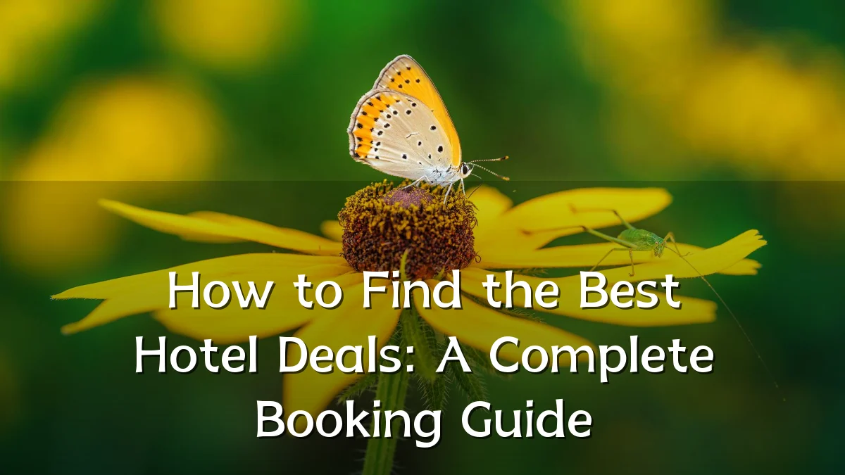 How to Find the Best Hotel Deals: A Complete Booking Guide