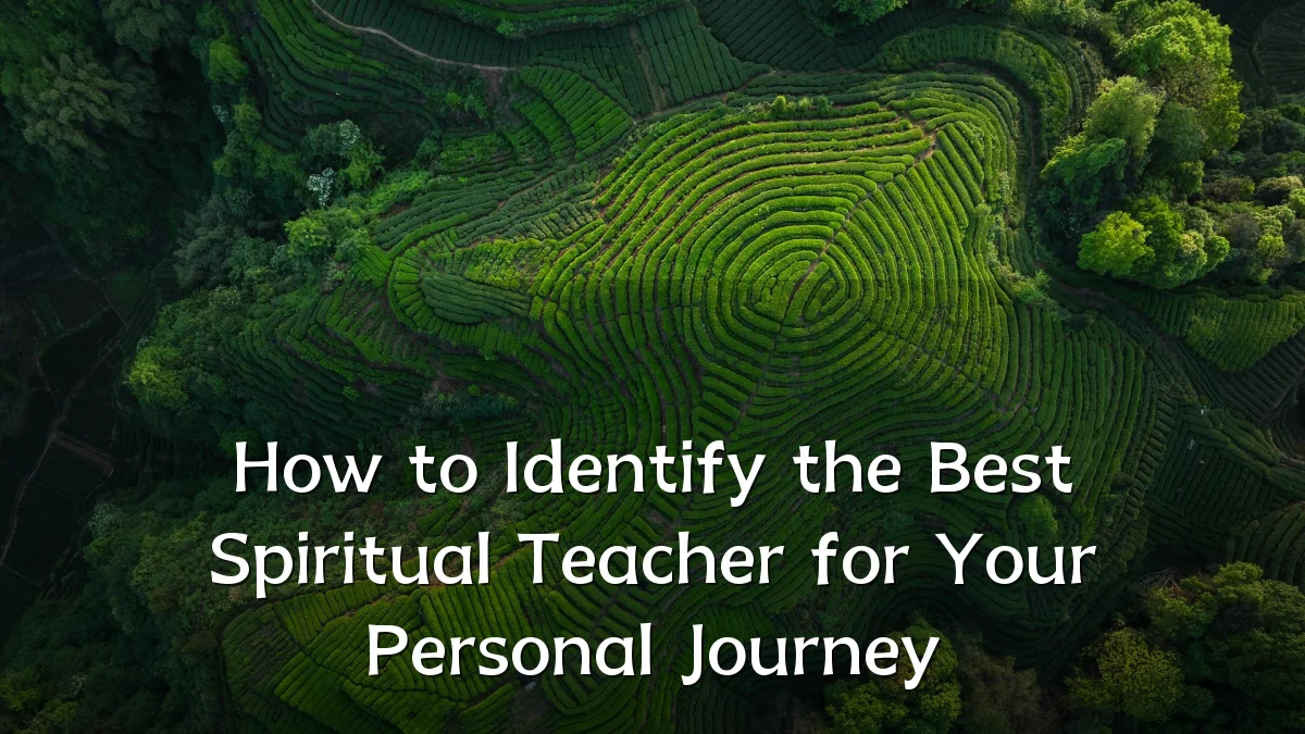 How to Identify the Best Spiritual Teacher for Your Personal Journey
