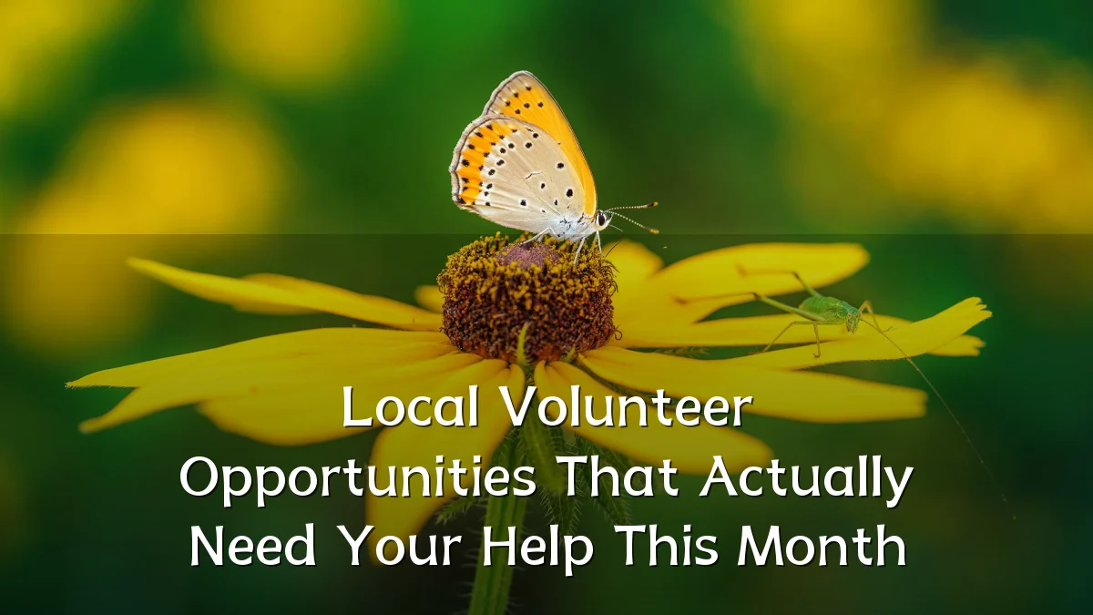 Local Volunteer Opportunities That Actually Need Your Help This Month