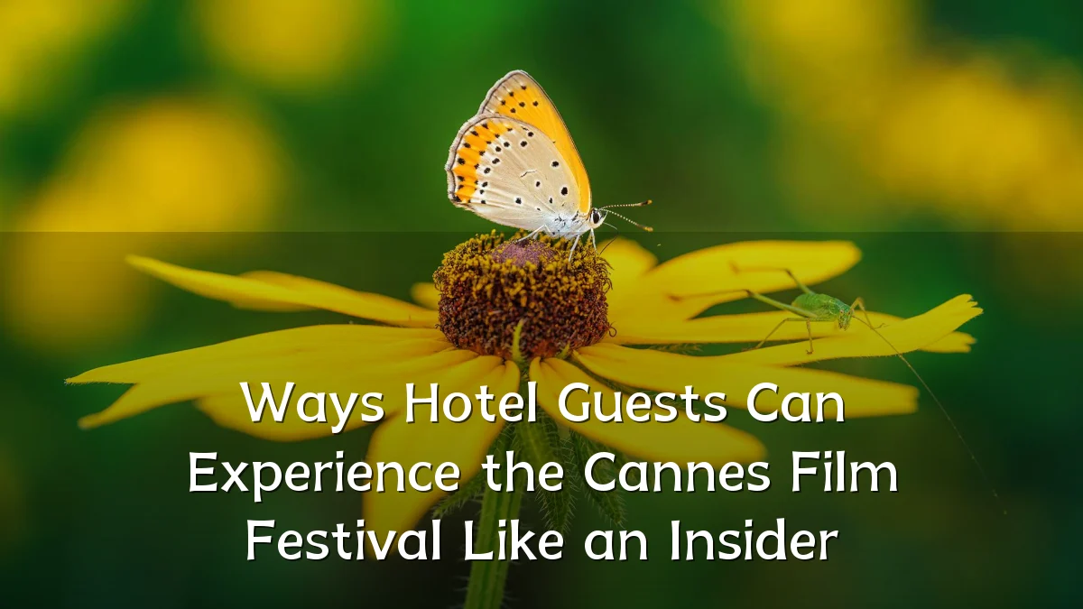 Ways Hotel Guests Can Experience the Cannes Film Festival Like an Insider