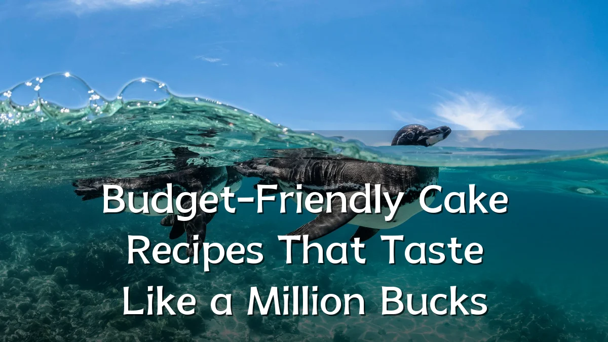 Budget-Friendly Cake Recipes That Taste Like a Million Bucks