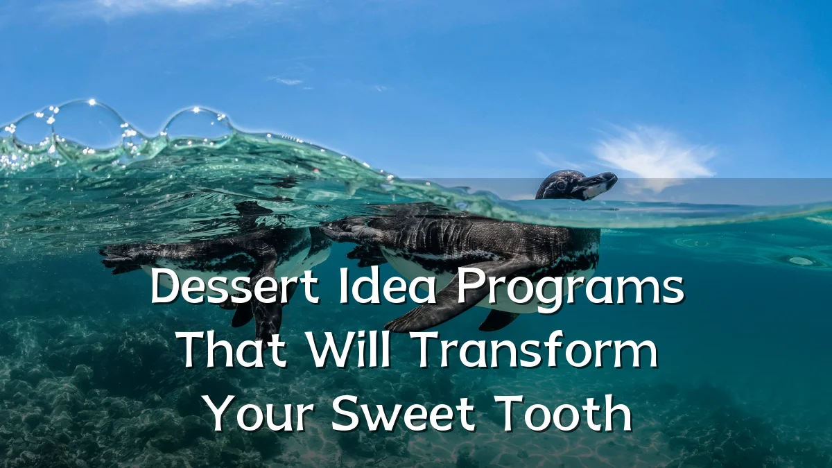 Dessert Idea Programs That Will Transform Your Sweet Tooth