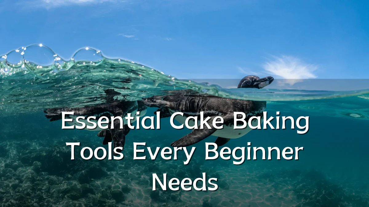 Essential Cake Baking Tools Every Beginner Needs