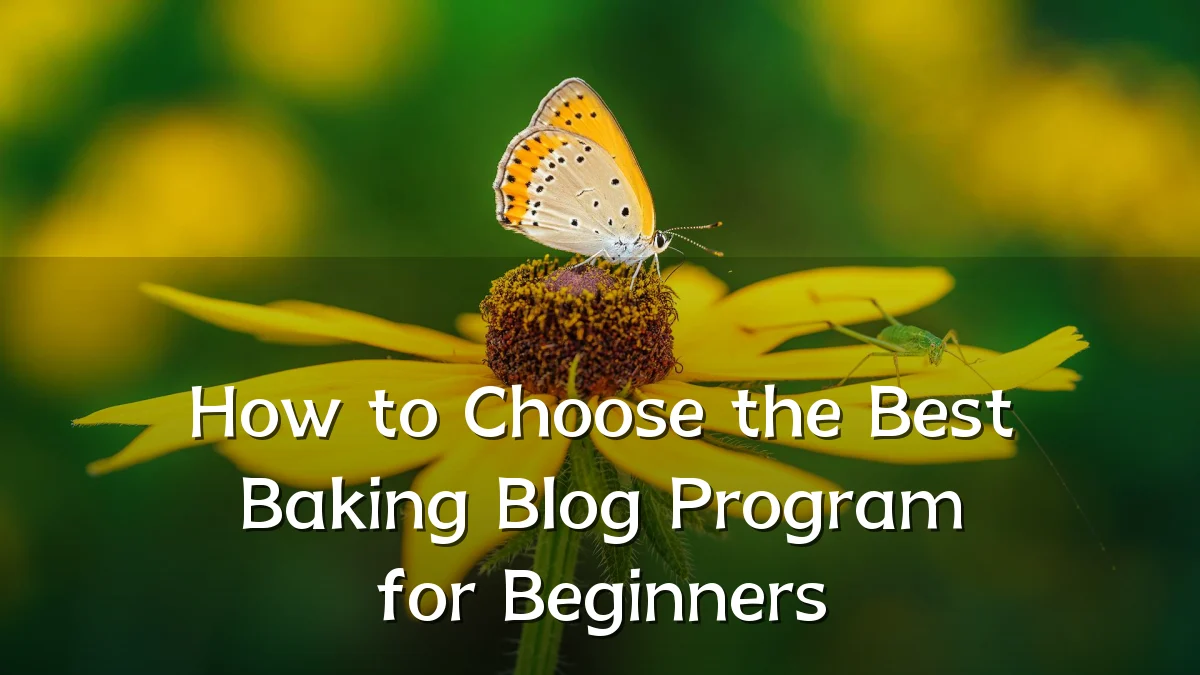 How to Choose the Best Baking Blog Program for Beginners