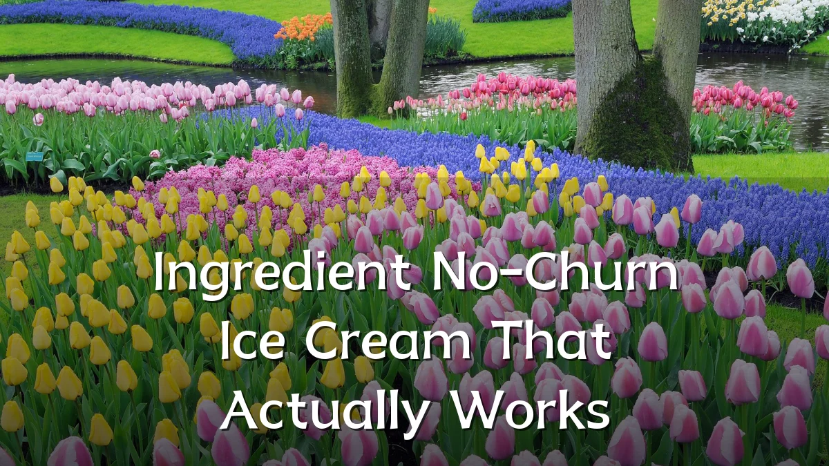 Ingredient No-Churn Ice Cream That Actually Works