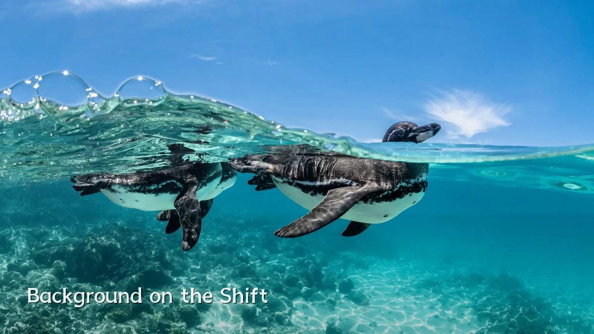 Background on the Shift