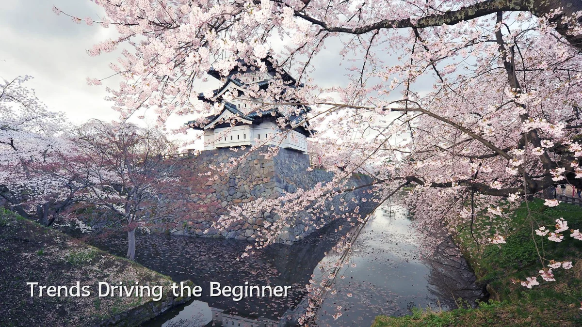 Trends Driving the Beginner