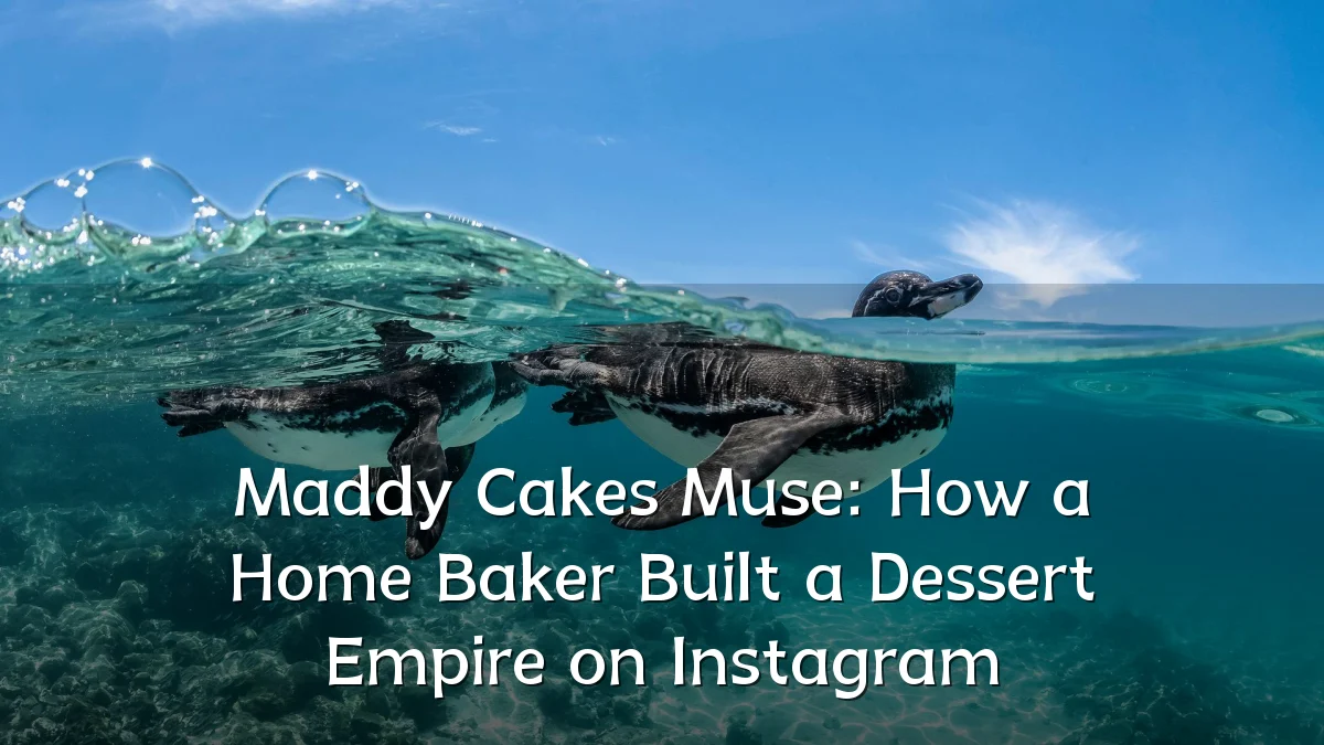 Maddy Cakes Muse: How a Home Baker Built a Dessert Empire on Instagram
