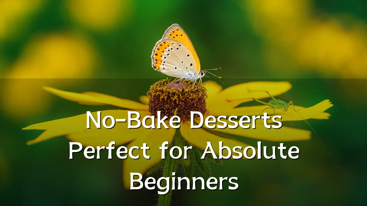 No-Bake Desserts Perfect for Absolute Beginners