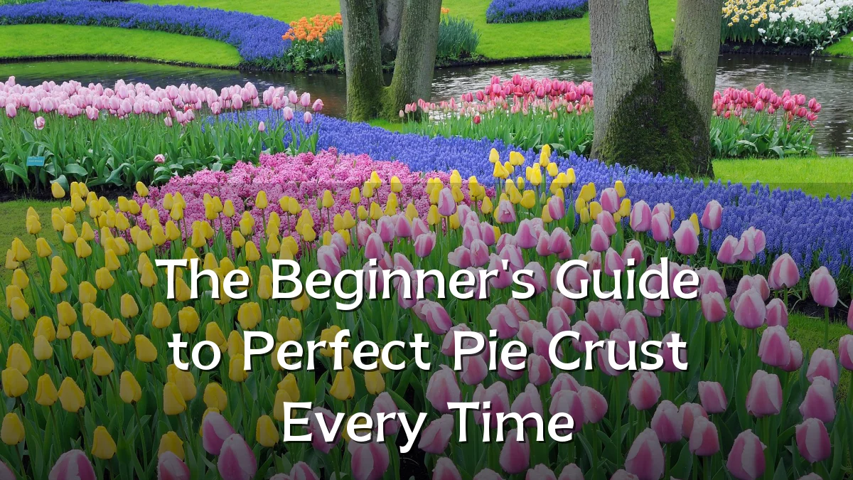 The Beginner's Guide to Perfect Pie Crust Every Time