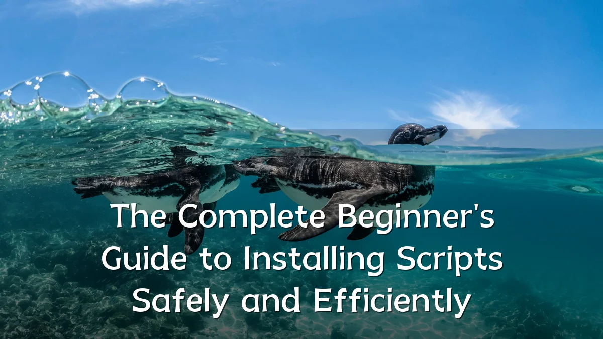 The Complete Beginner's Guide to Installing Scripts Safely and Efficiently