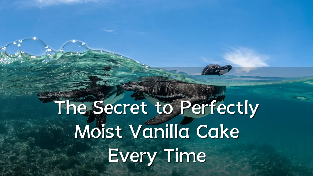 The Secret to Perfectly Moist Vanilla Cake Every Time