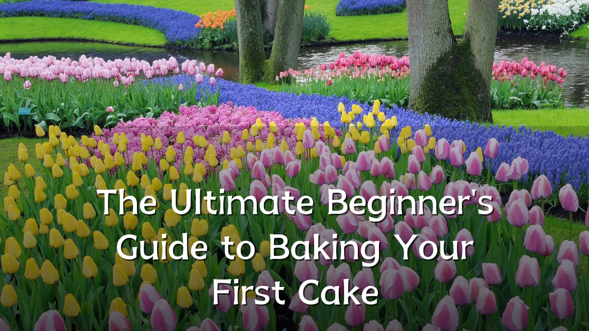 The Ultimate Beginner's Guide to Baking Your First Cake