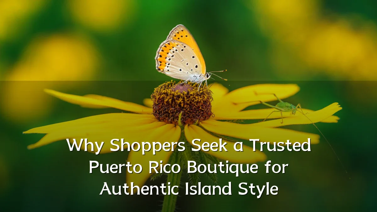 Why Shoppers Seek a Trusted Puerto Rico Boutique for Authentic Island Style