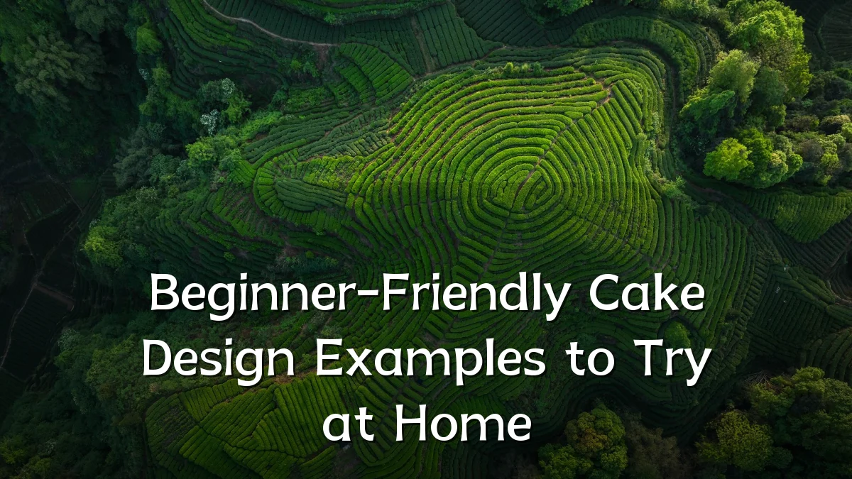 Beginner-Friendly Cake Design Examples to Try at Home