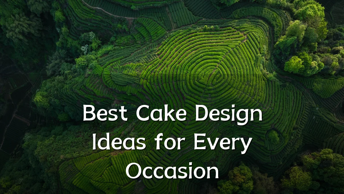 Best Cake Design Ideas for Every Occasion