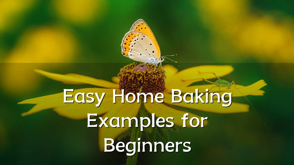 Easy Home Baking Examples for Beginners