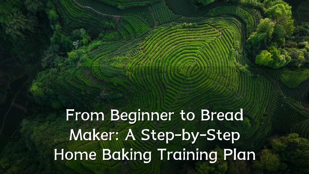 From Beginner to Bread Maker: A Step-by-Step Home Baking Training Plan