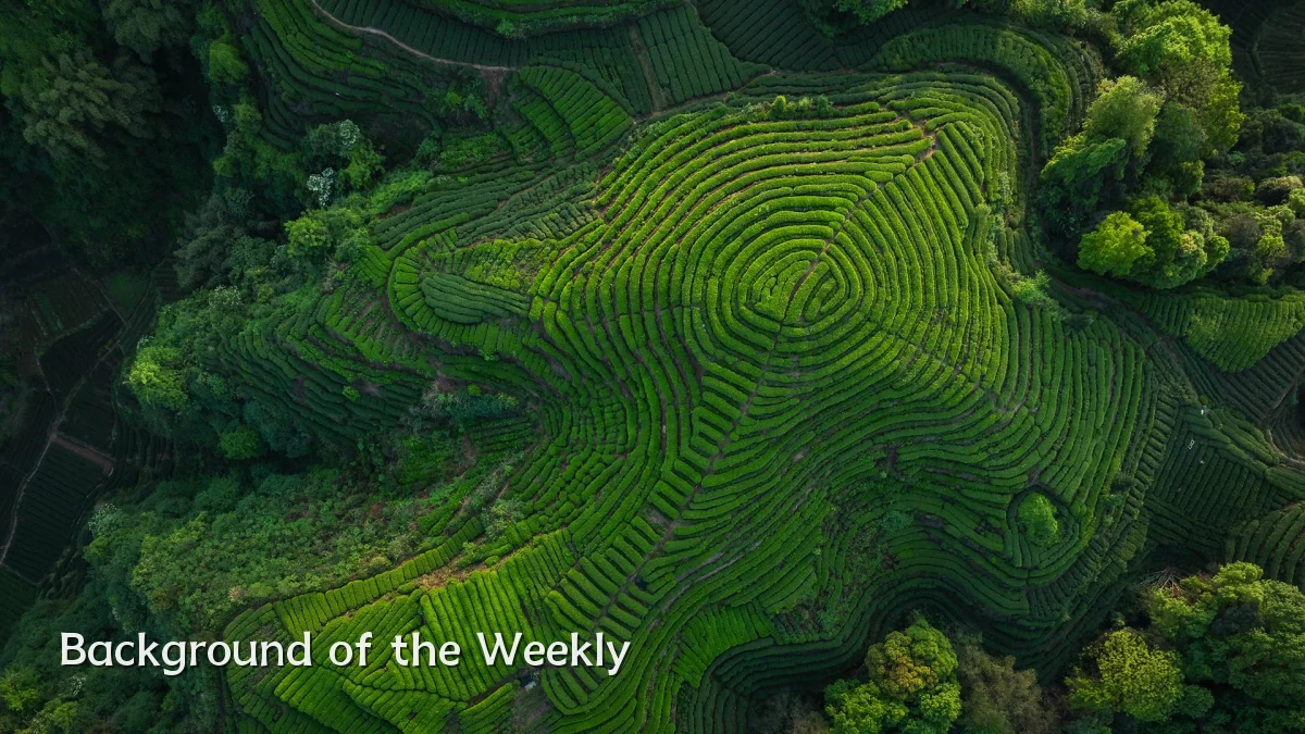 Background of the Weekly
