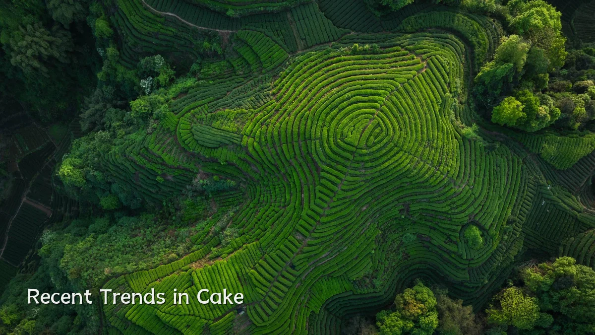 Recent Trends in Cake