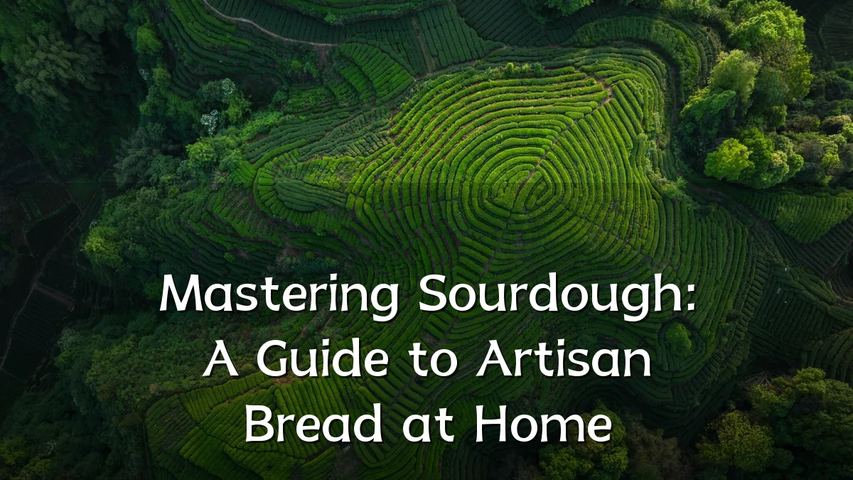 Mastering Sourdough: A Guide to Artisan Bread at Home
