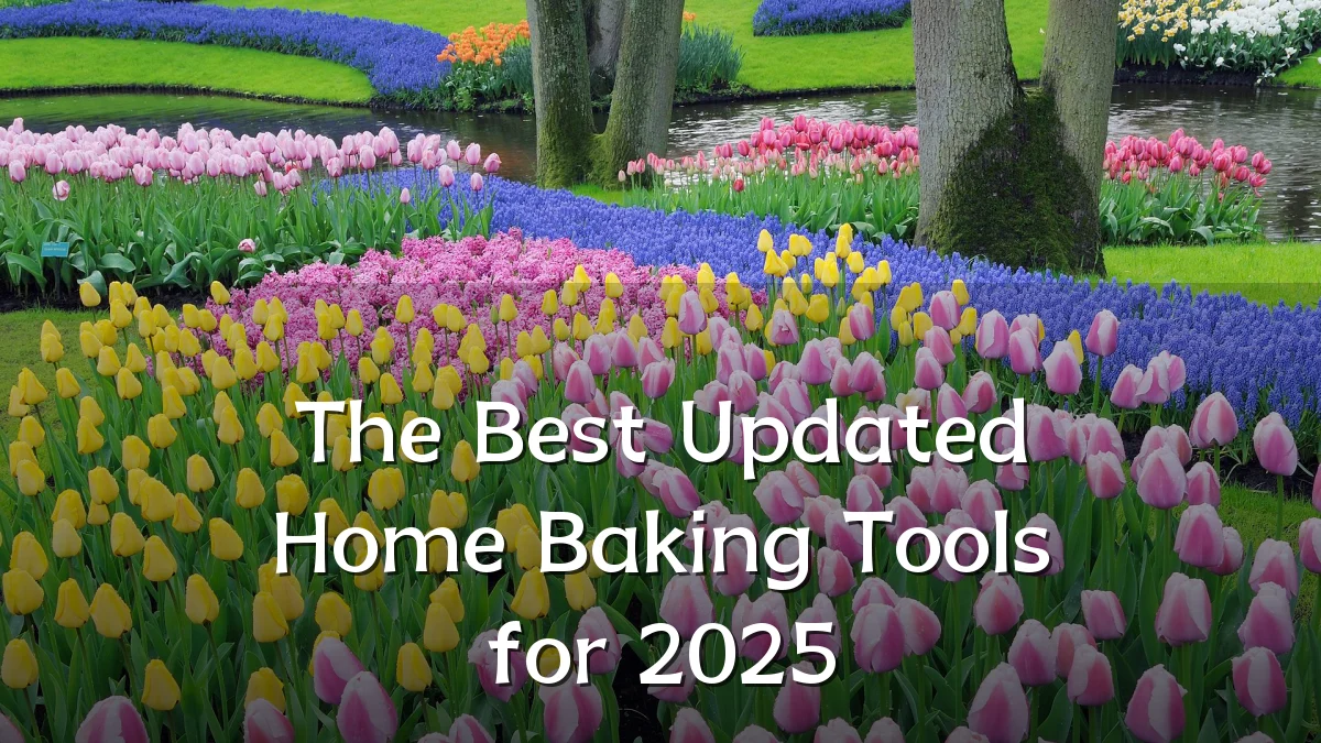 The Best Updated Home Baking Tools for 2025