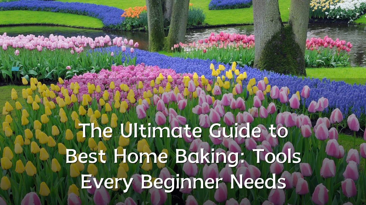 The Ultimate Guide to Best Home Baking: Tools Every Beginner Needs