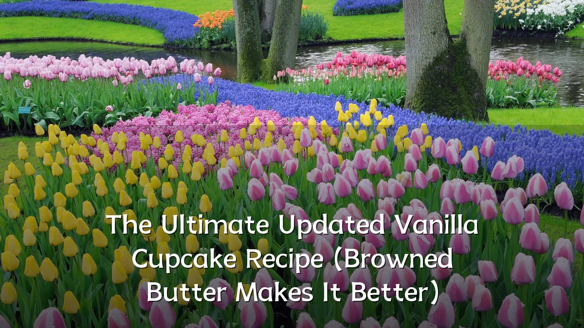 The Ultimate Updated Vanilla Cupcake Recipe (Browned Butter Makes It Better)