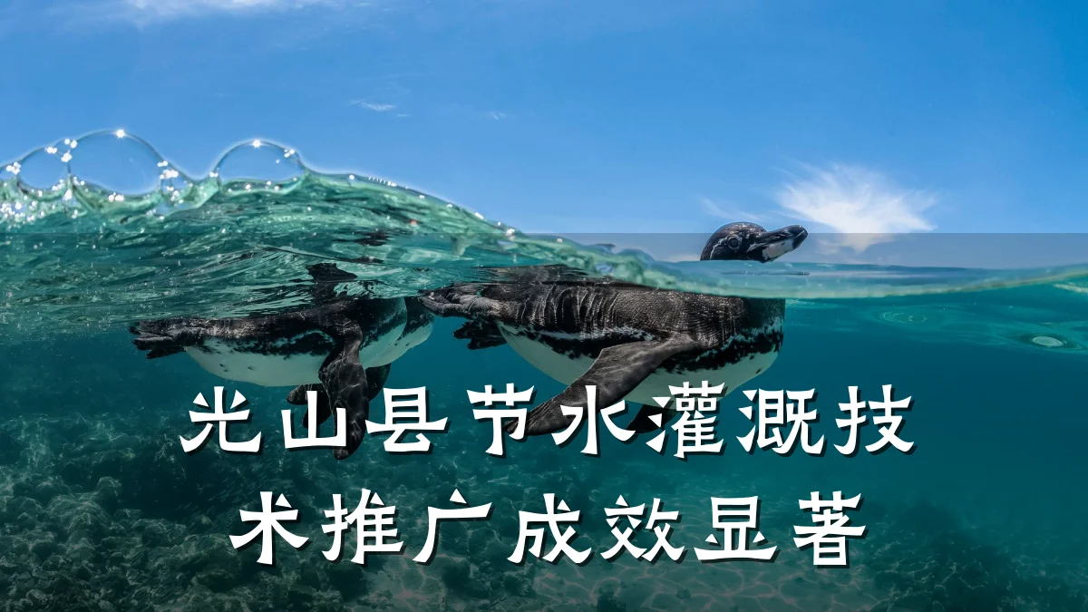 光山县节水灌溉技术推广成效显著