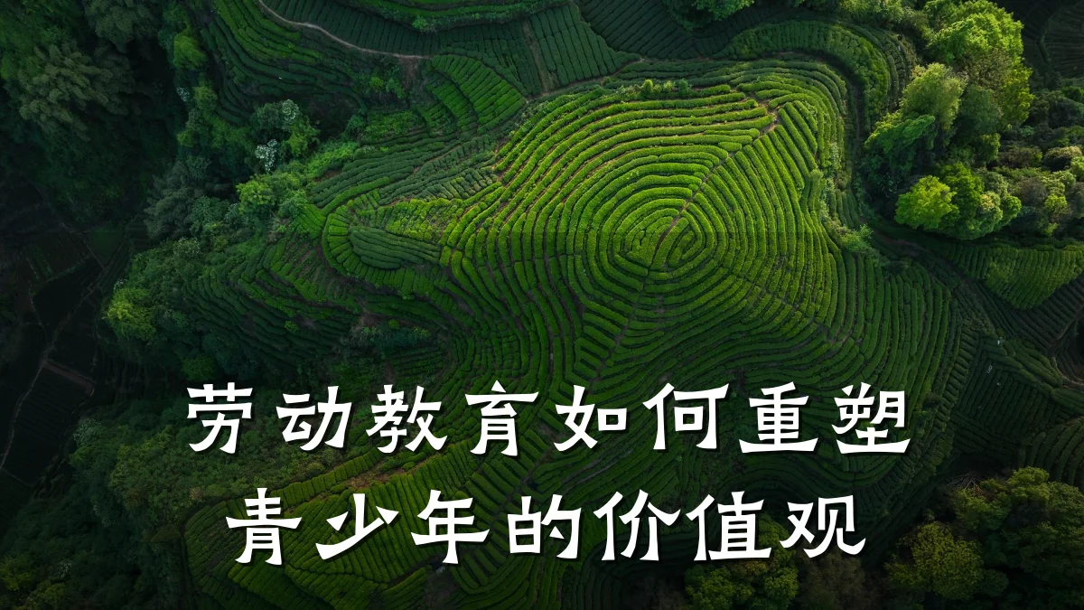 劳动教育如何重塑青少年的价值观