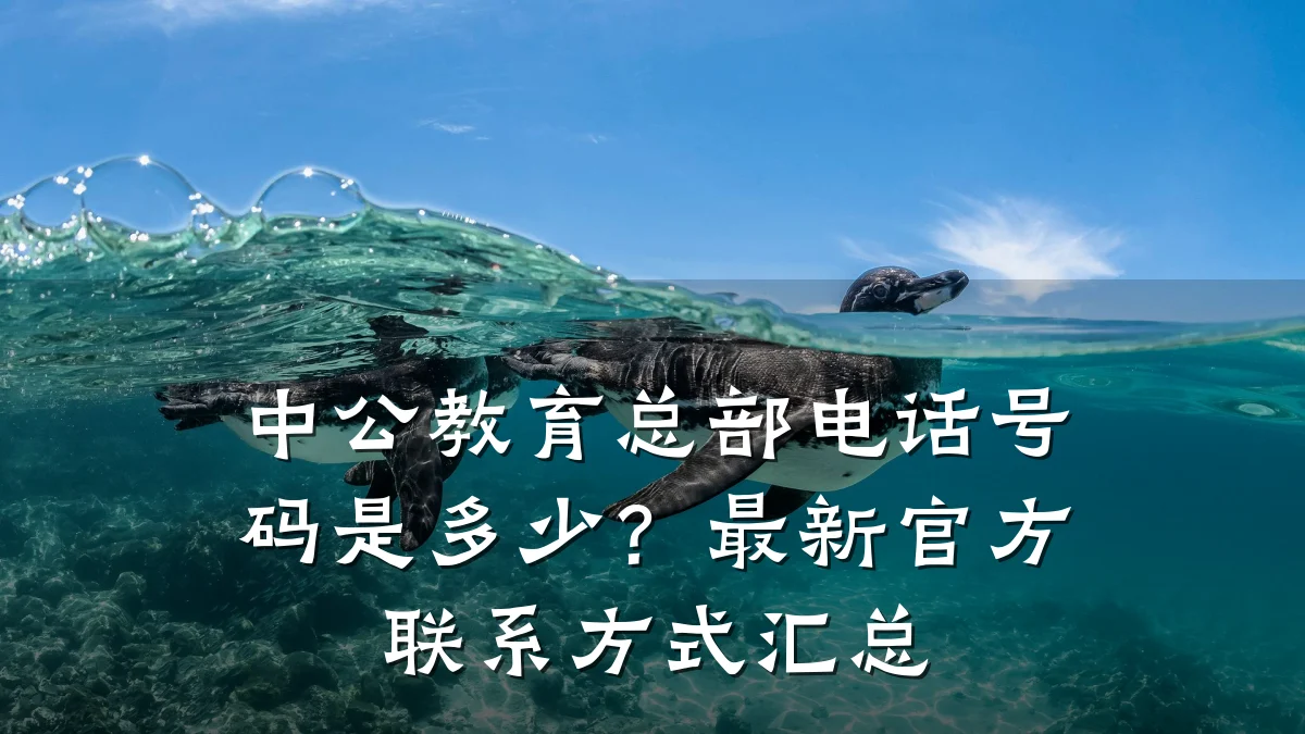 中公教育总部电话号码是多少?最新官方联系方式汇总